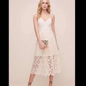ASTR beige lace dress